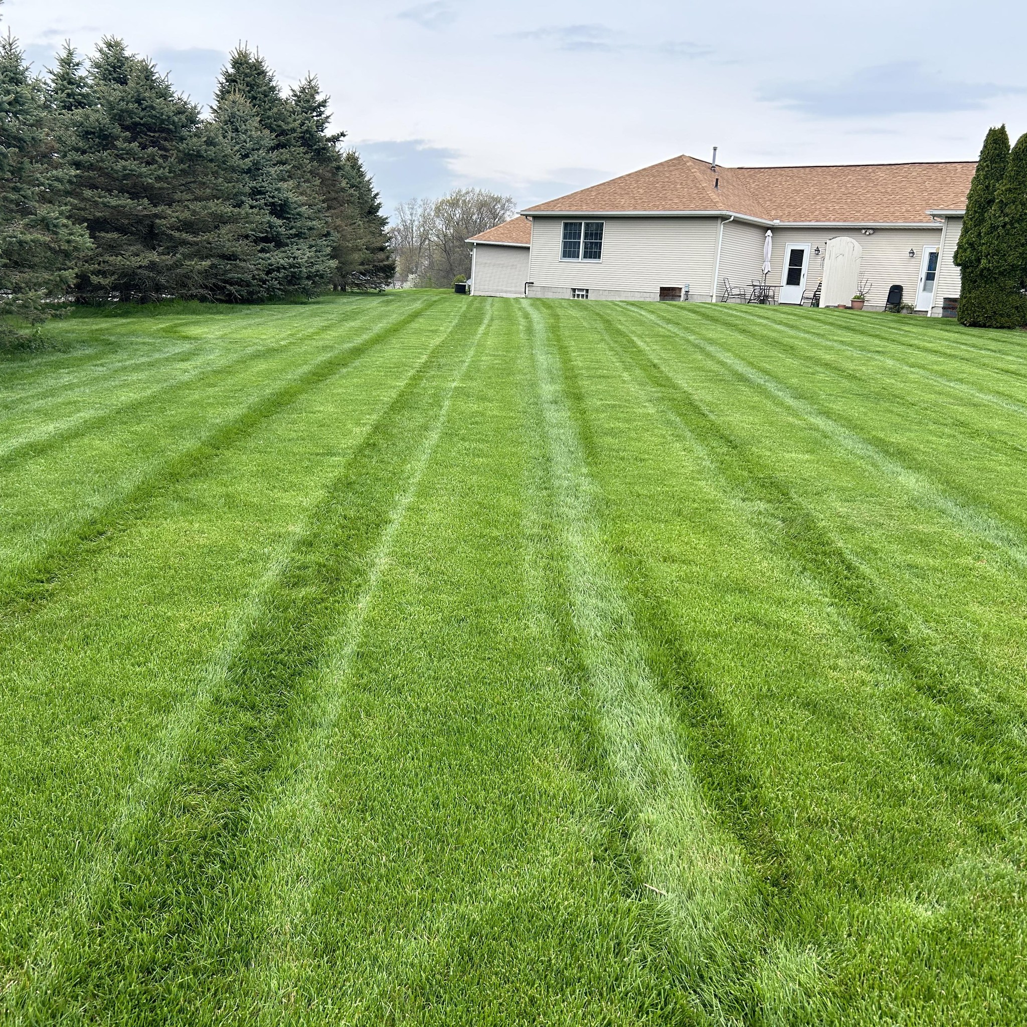 Joe lawns
