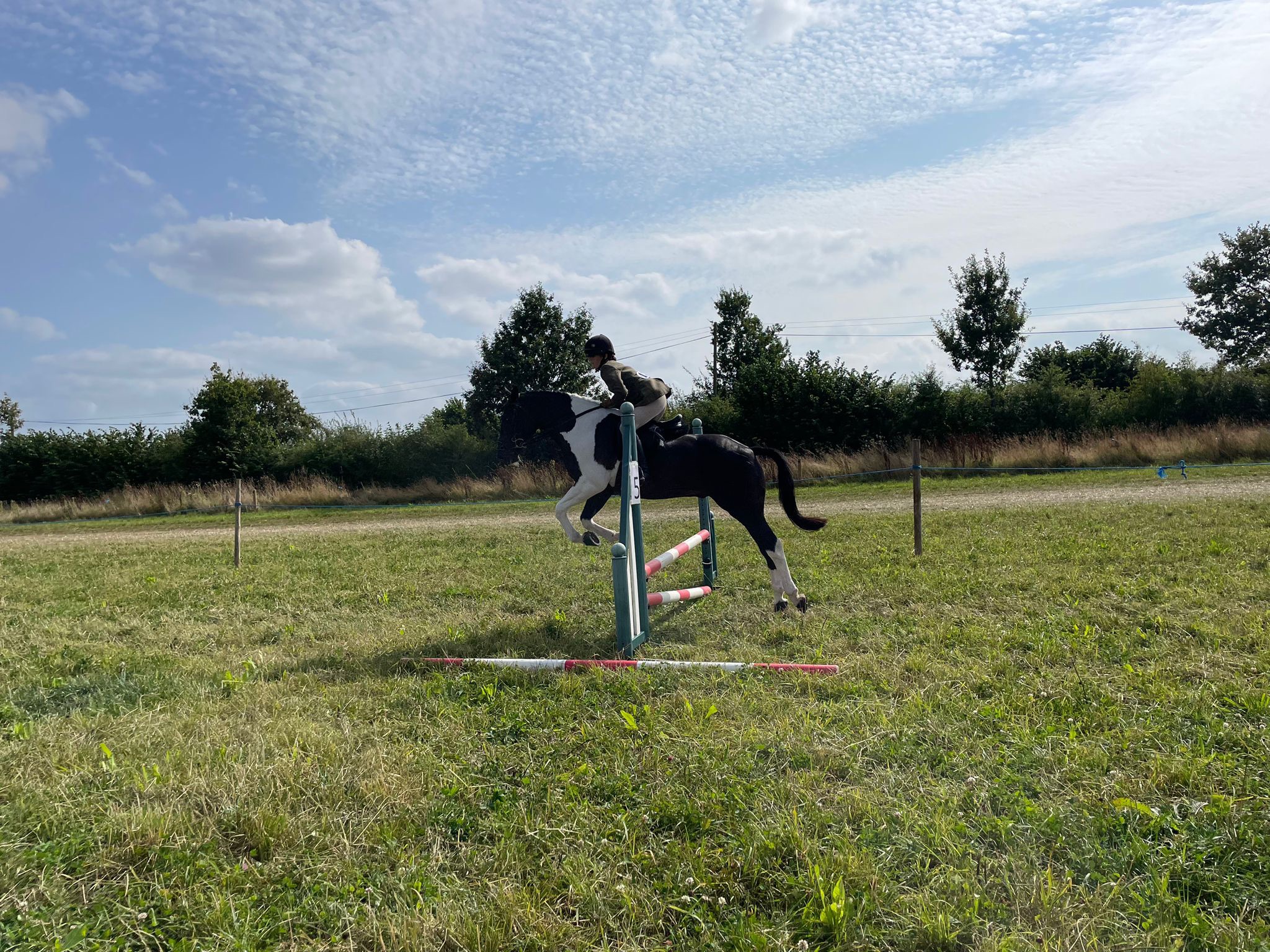 Quantock Show | Taunton