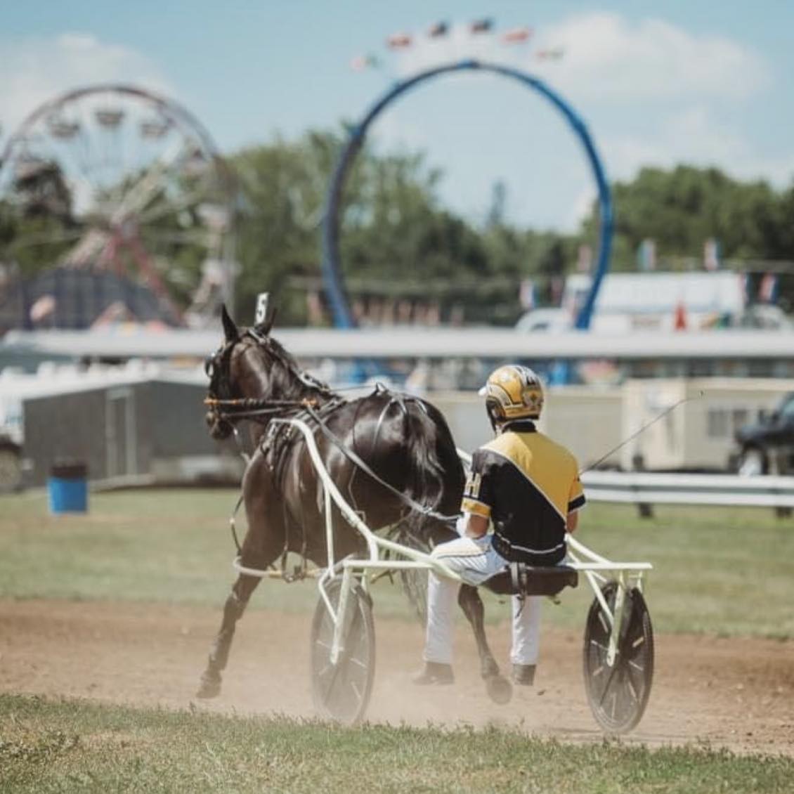 Iowa Harness Racing | Columbus Junction IA