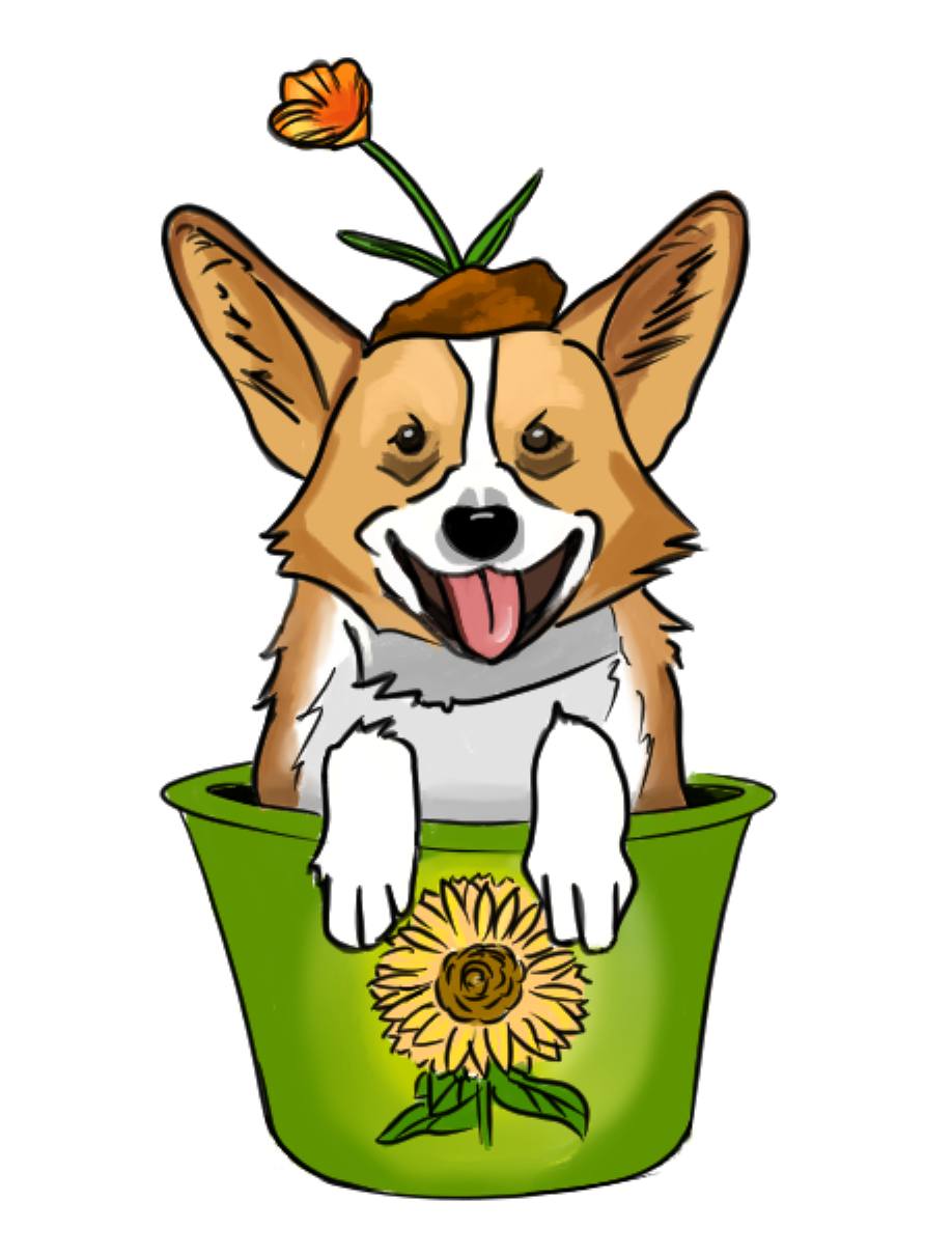 Sacramento Valley Floral Supply