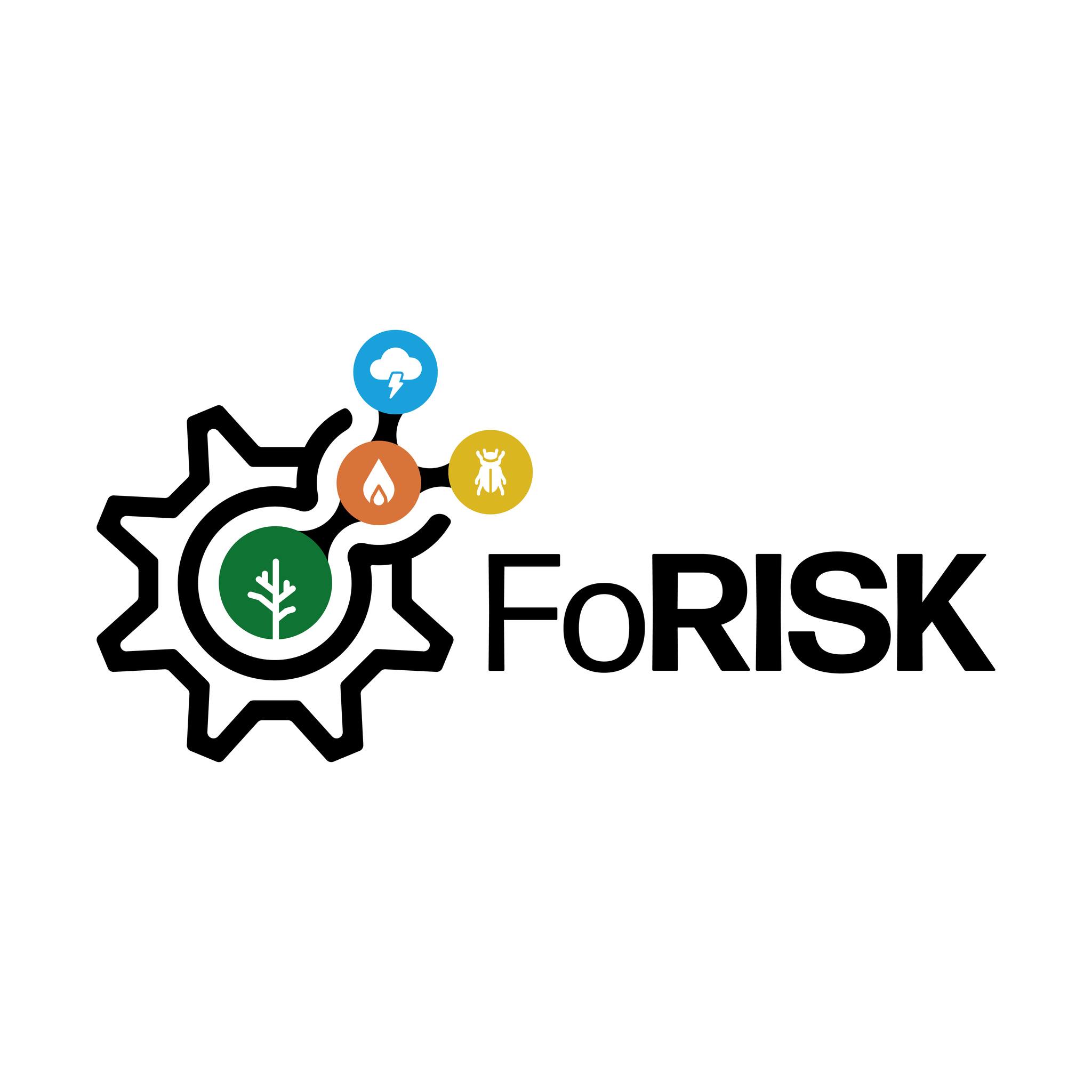 European Forest Institute (EFI) | Joensuu