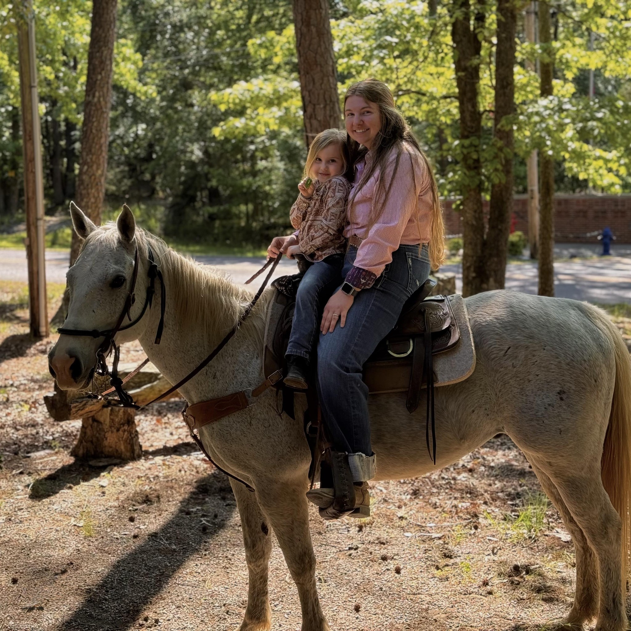 Mountain Harbor Riding Stables | Mount Ida AR