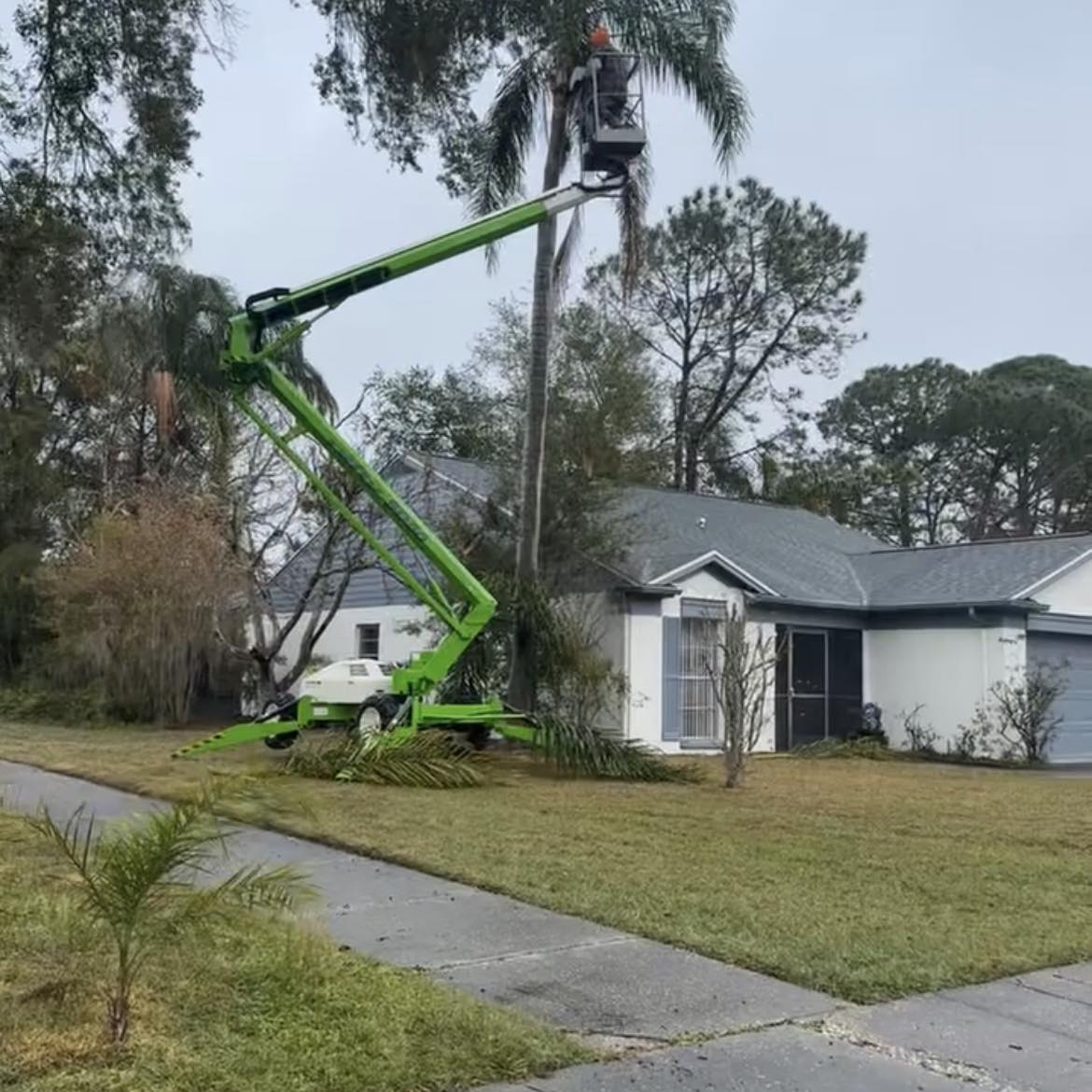Clear Sky Tree Service | Tampa FL
