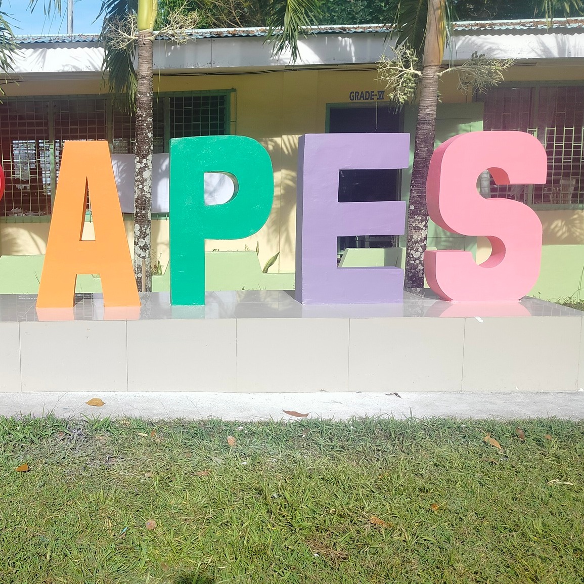 Apian ES Alumni
