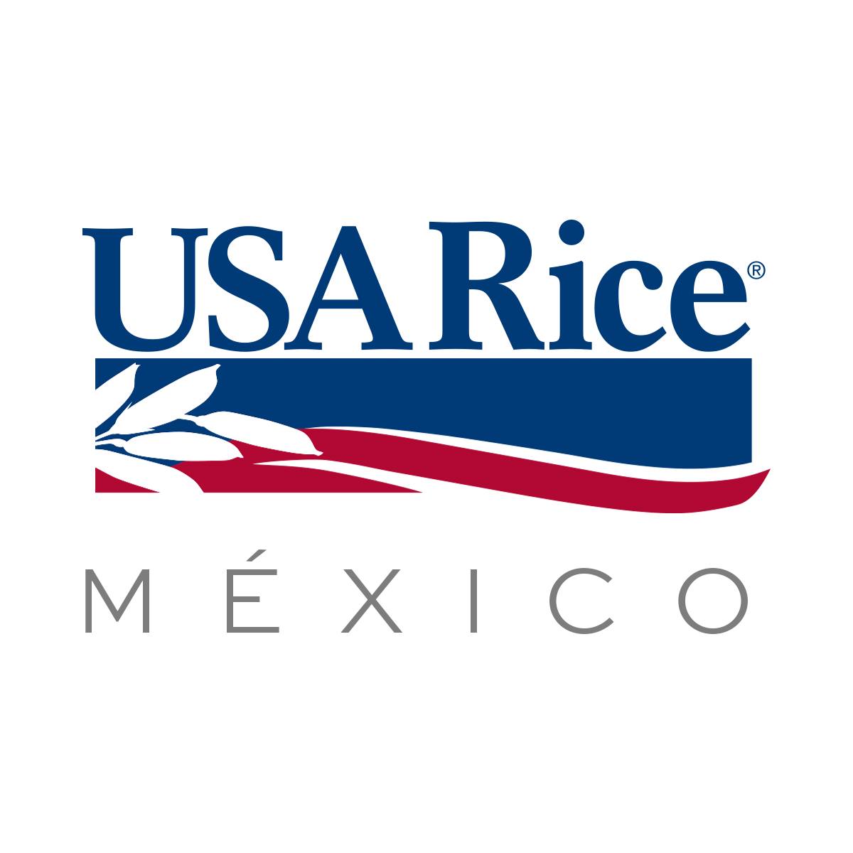USA Rice México