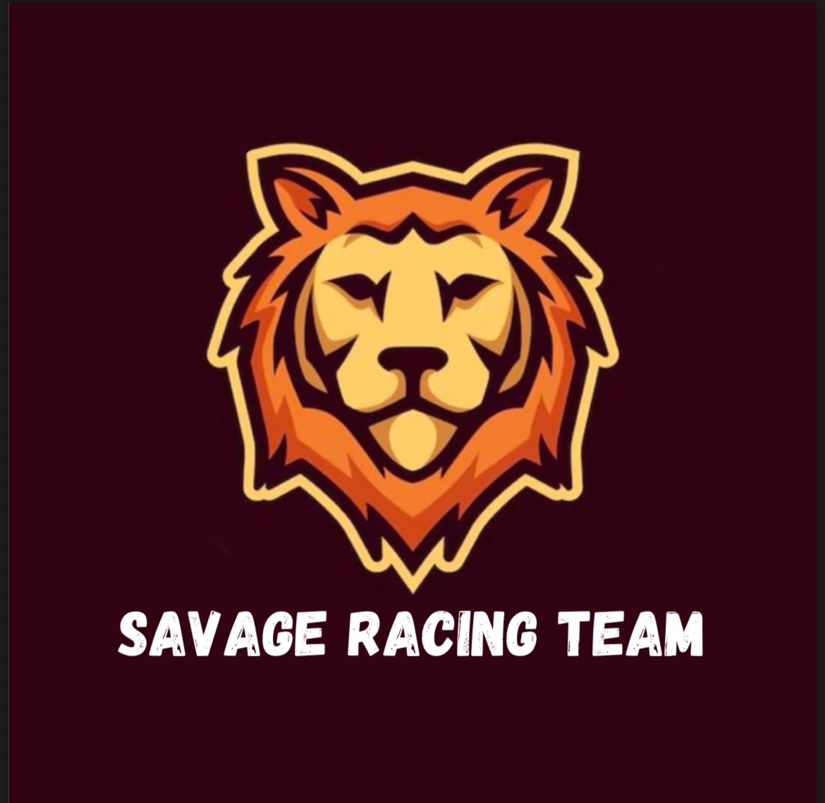 Savage racing team | Ovalle