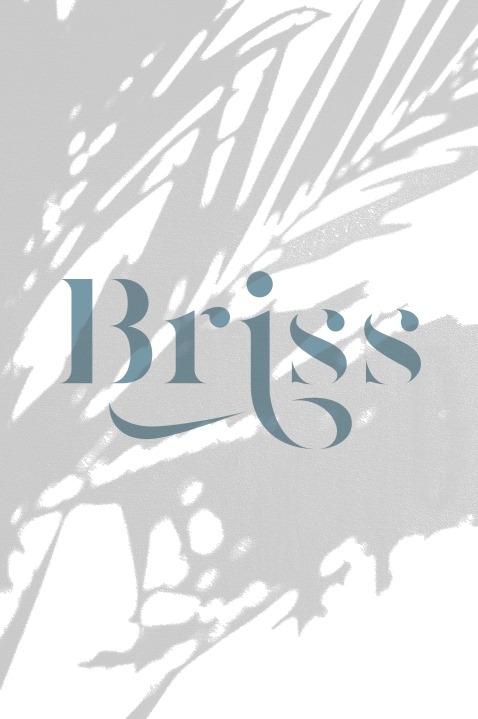 Briss Perú | Lima