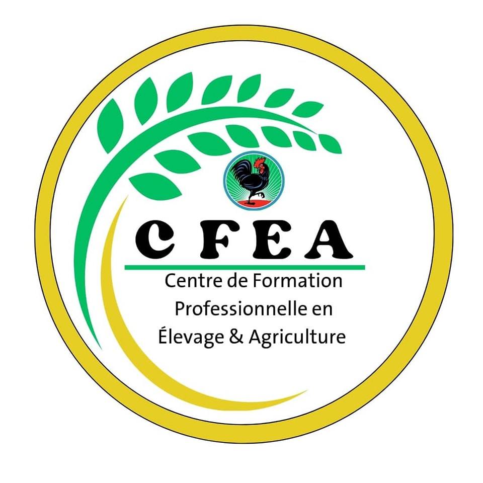 Le centre de formation en élevage et l'agriculture CFEA