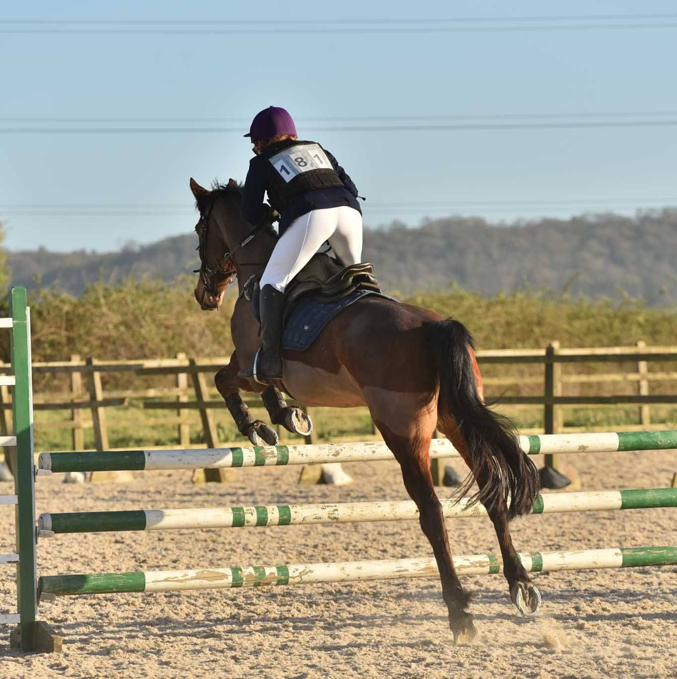 Cordet at Aim-You Equestrian Psychology Coaching