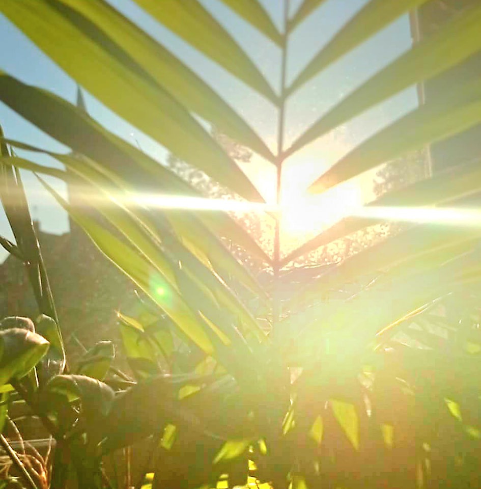 🌅💫 Quand la mer devient lumière 🌞🕊#melodyspot #cinematicballad # ...
