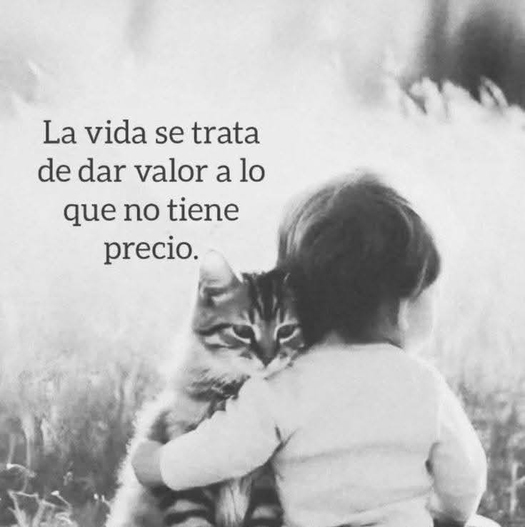 ¿NOS ESTÁN VIENDO LA CARA? 🇨🇷 Muchos hablan, pero pocos leen los ...