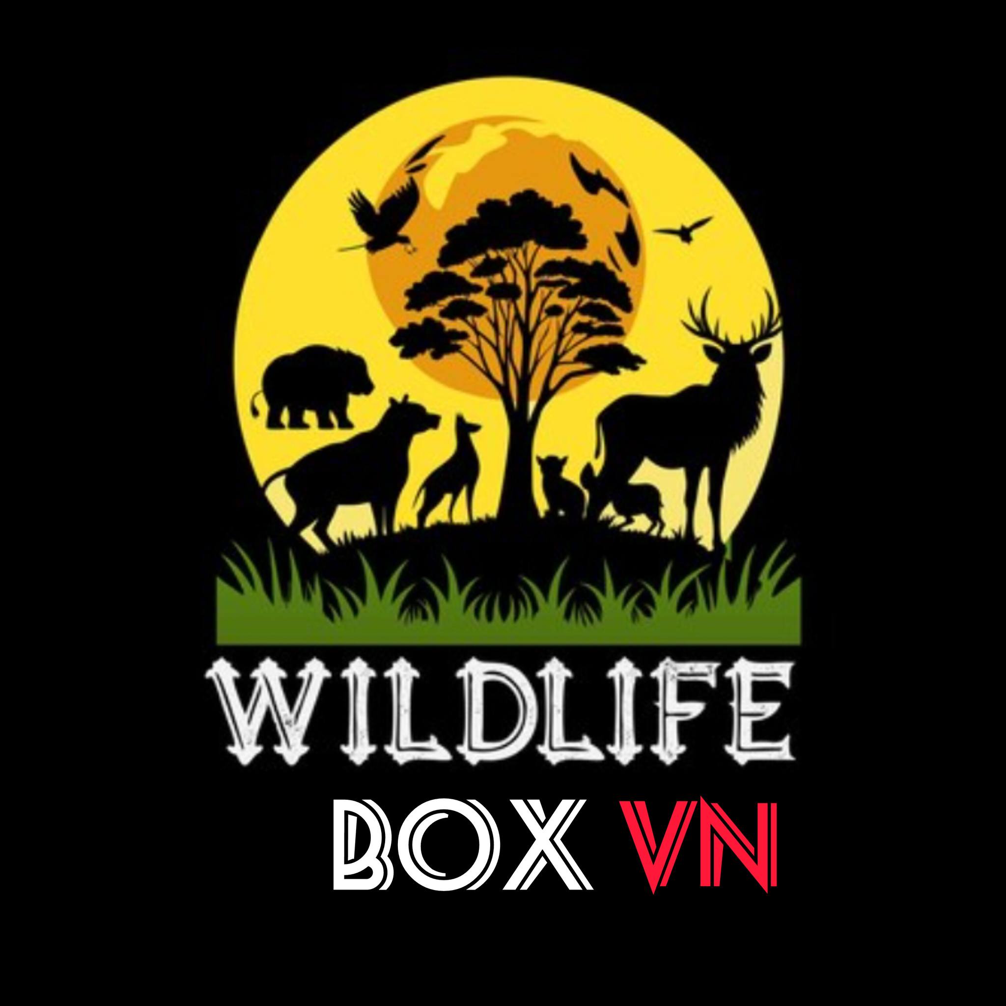 wildlife box vn | Haridwar