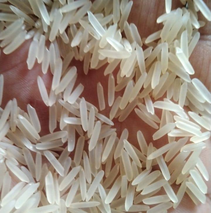 Azad Rice & Commodities