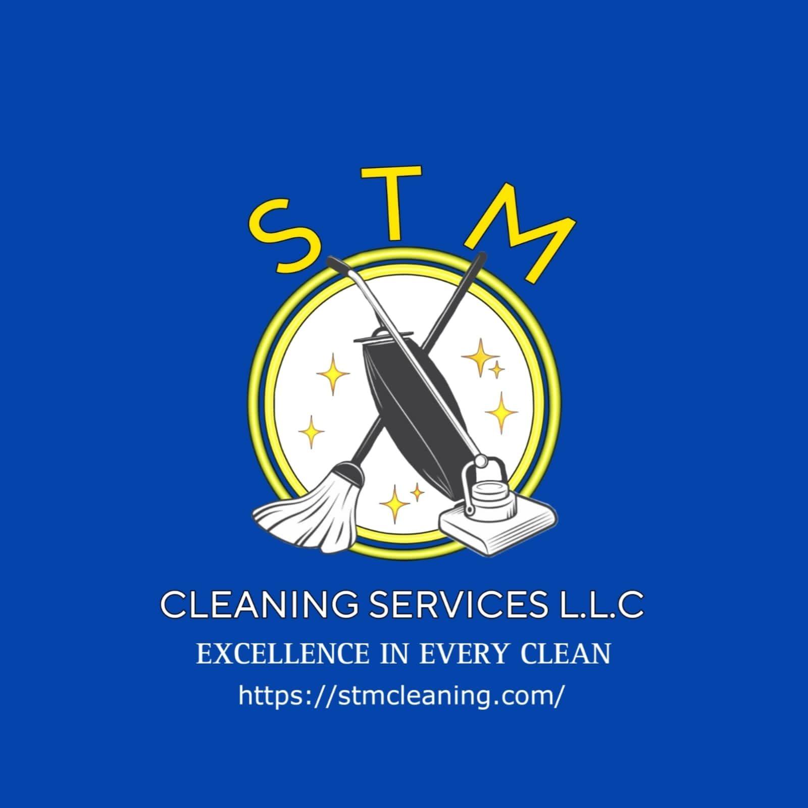 Stm Cleaning