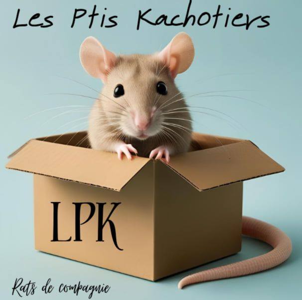 Ratterie les Ptis Kachotiers | Fierville-les-Mines