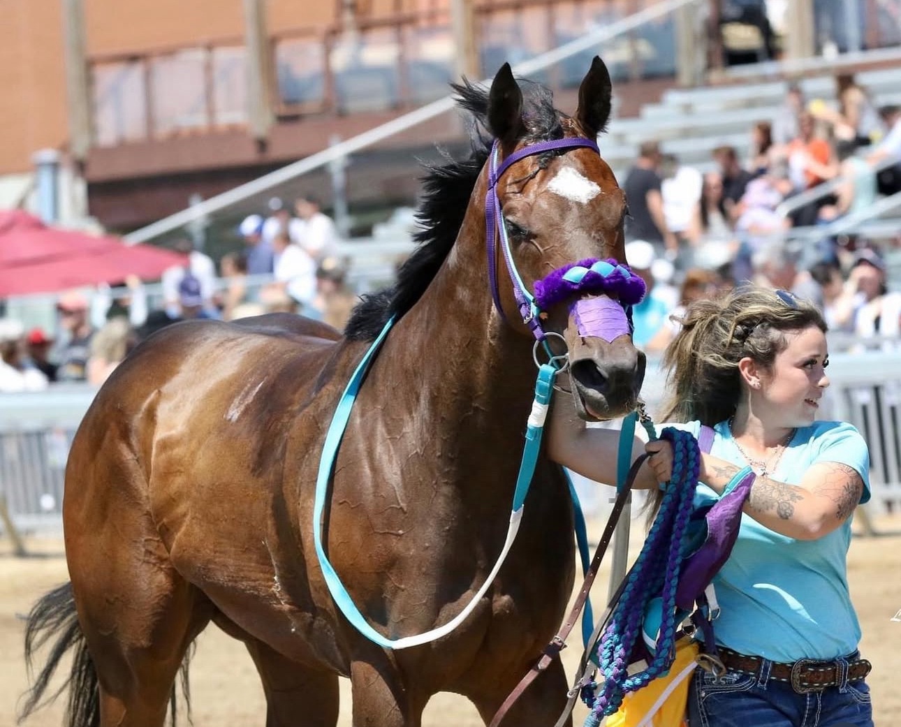 B. Sisson QH Racing
