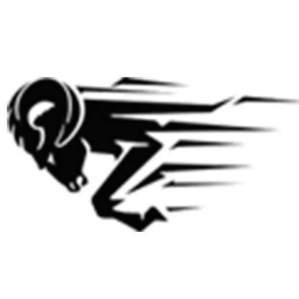 RAM Arcade Management