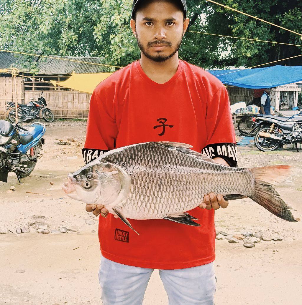 Deshi fish cutting