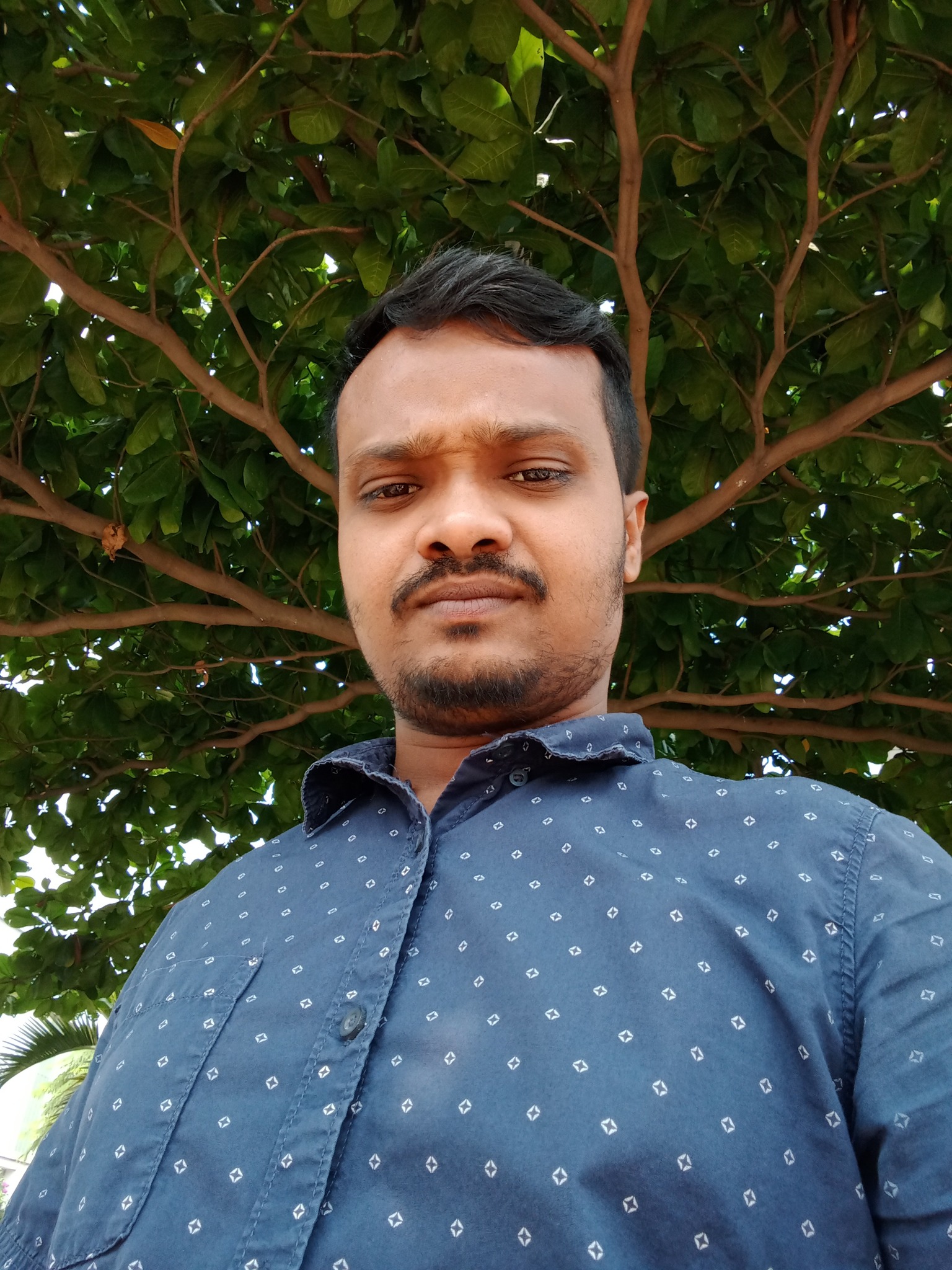 Rashed 0.2 | Pabna