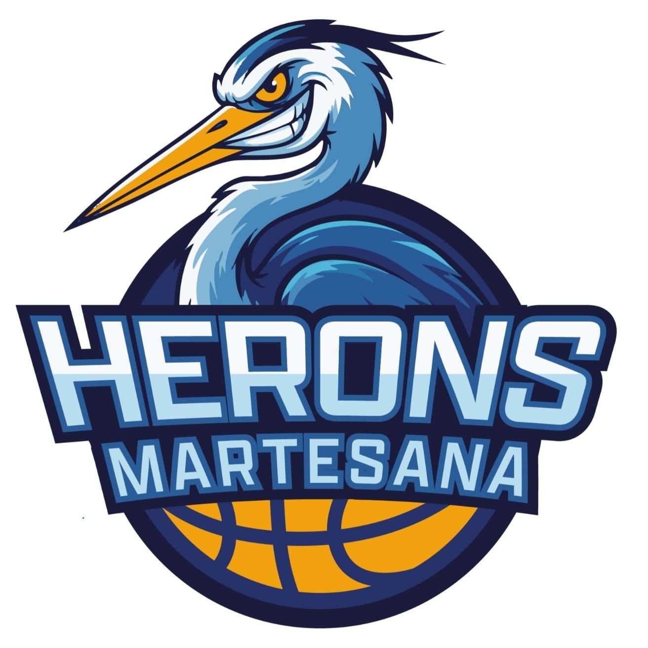 Martesana Basketball Project