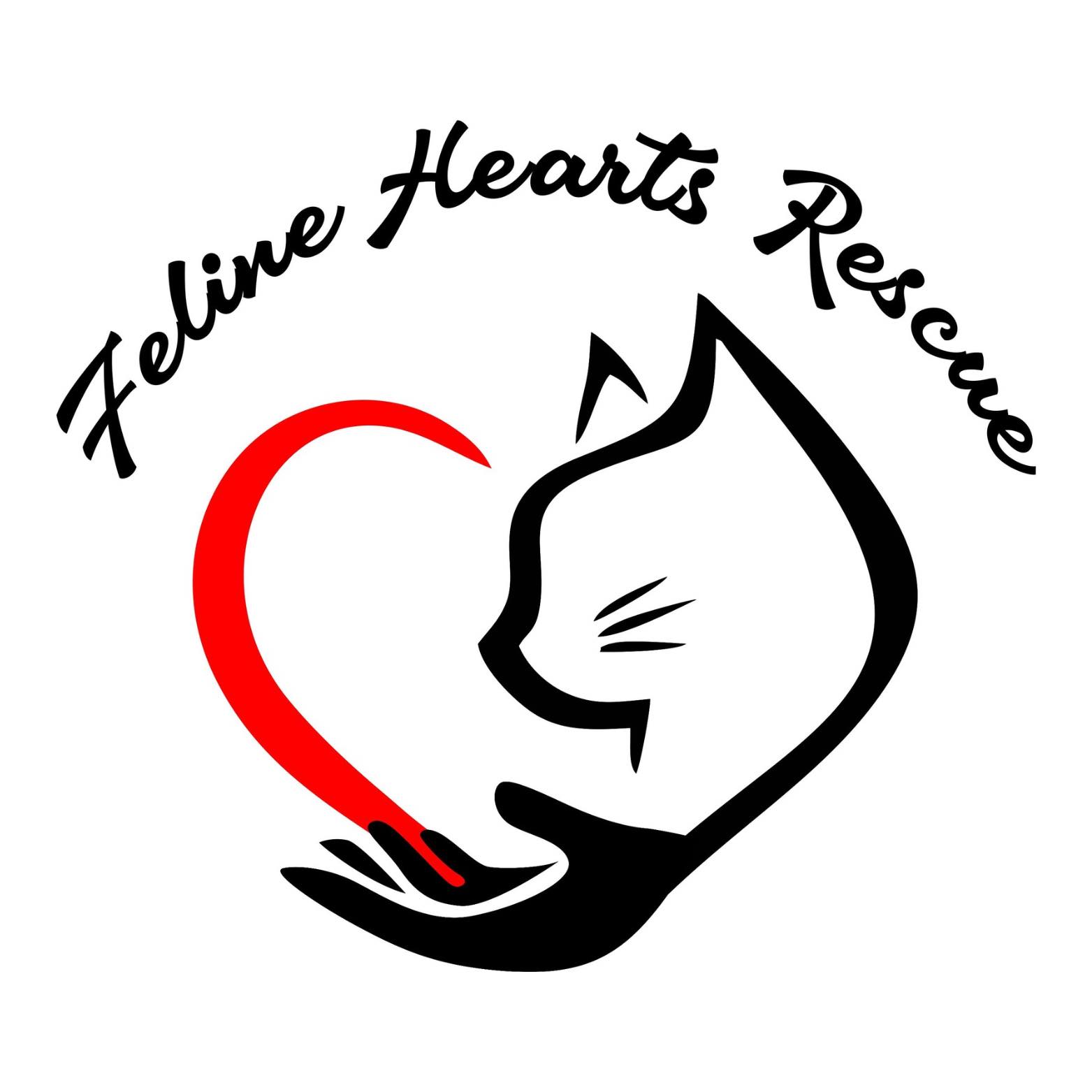 Meezer’s Mission Cat Rescue