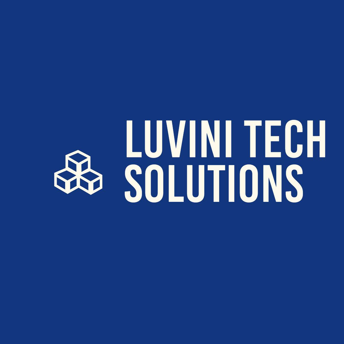 Luvini Tech Solutions