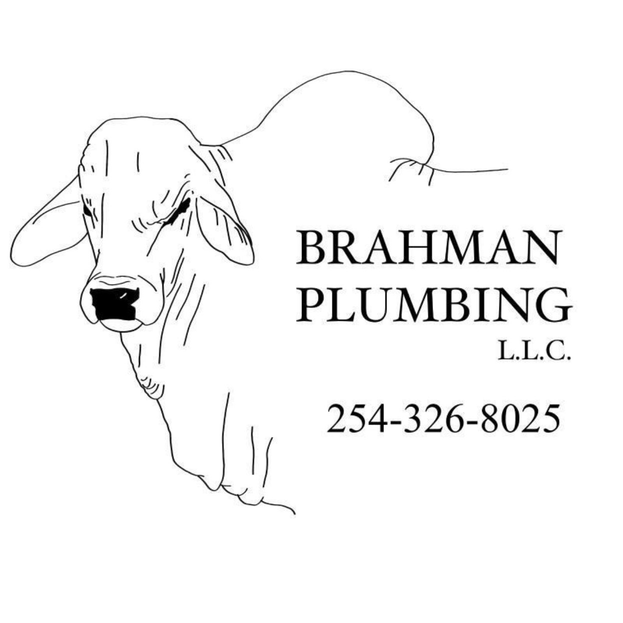 Waco now | Looking for the best Aerobic Septic Installers, decently ...