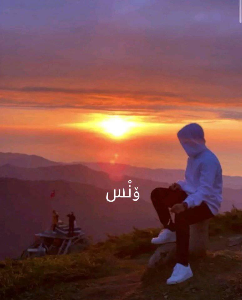 ونس