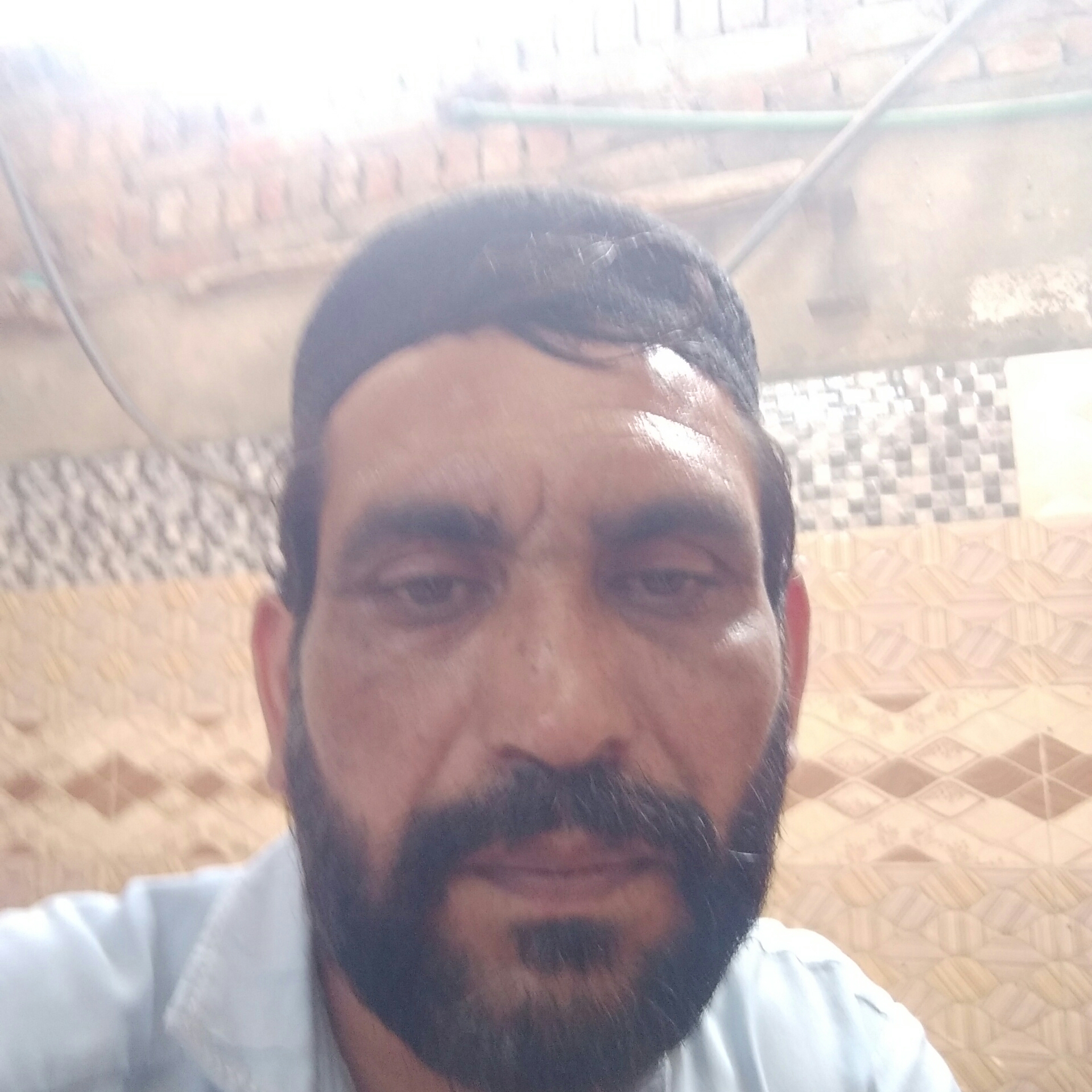 Basha Jan