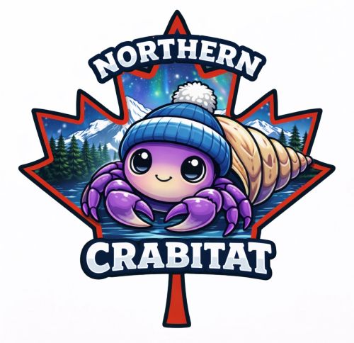 Canadian Hermit Crab Keepers | OK, everyone what type of cameras do you ...