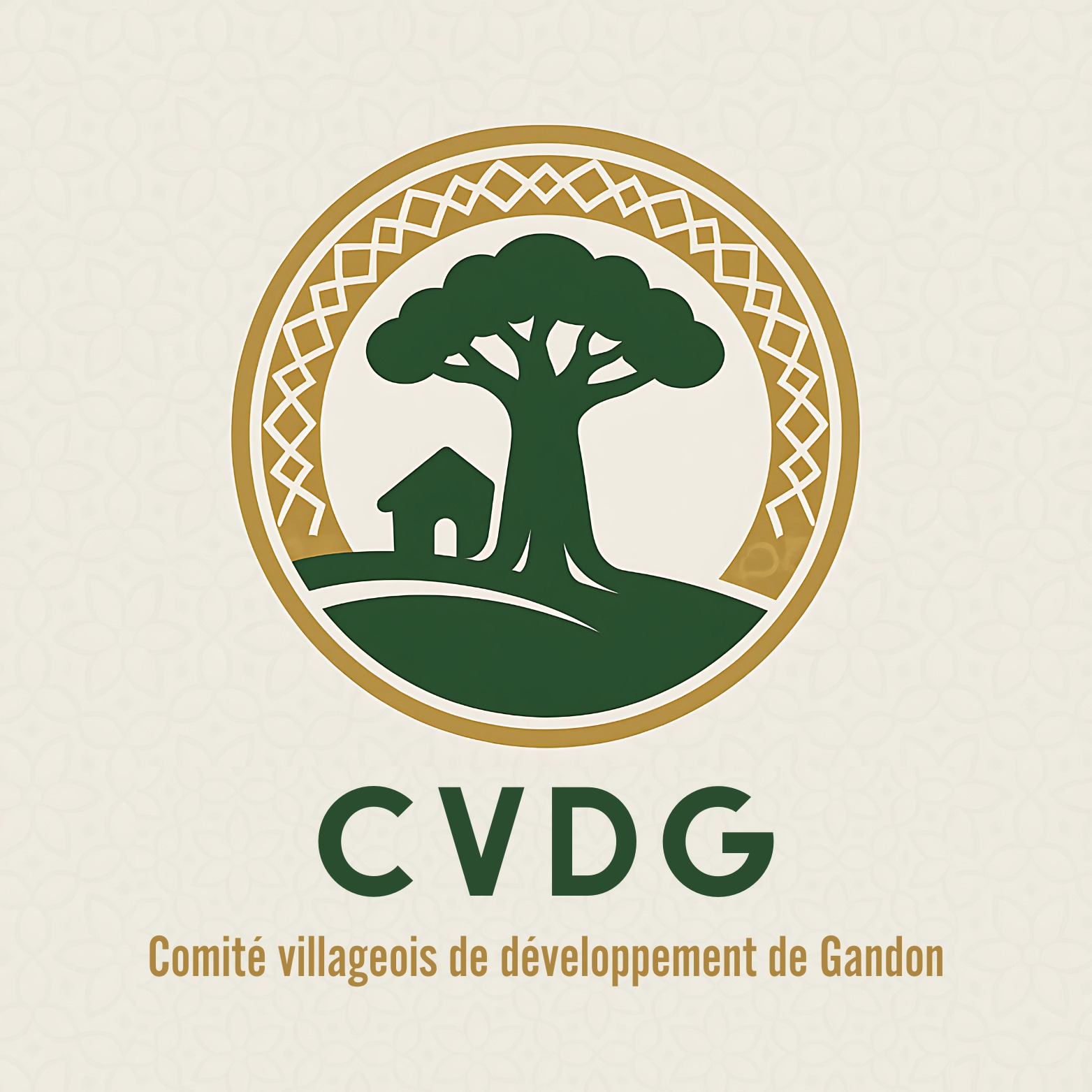 Comité villageois de développement de Gandon CVDG | Saint-Louis