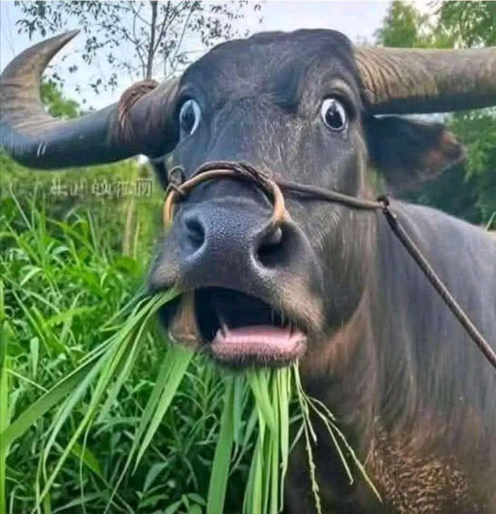 Đi đơn từ 1kg | Facebook