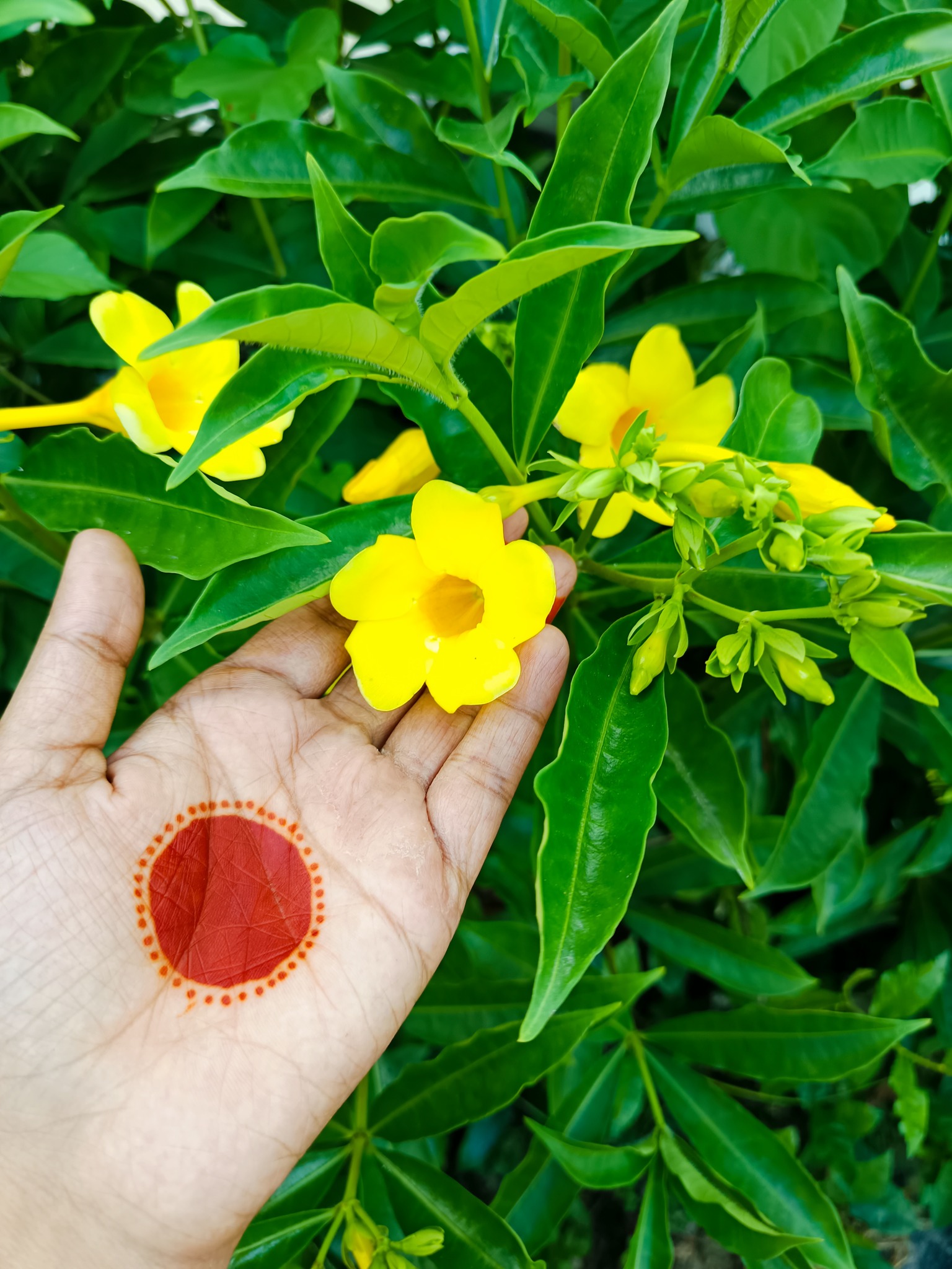 Thamina's world | Chittagong