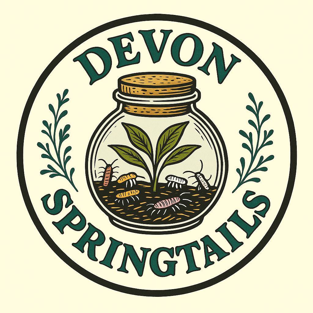 Redford white springtail . Santa claus... - Devon Springtails | Facebook