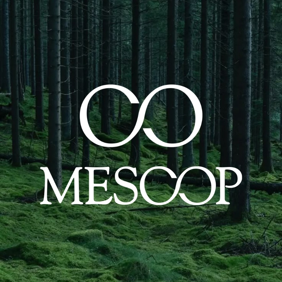 Mesoop Vietnam