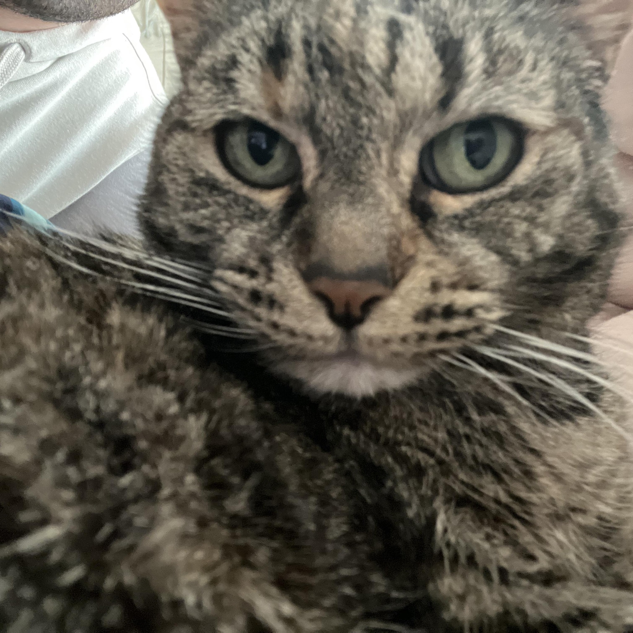 Quick Question; | Facebook