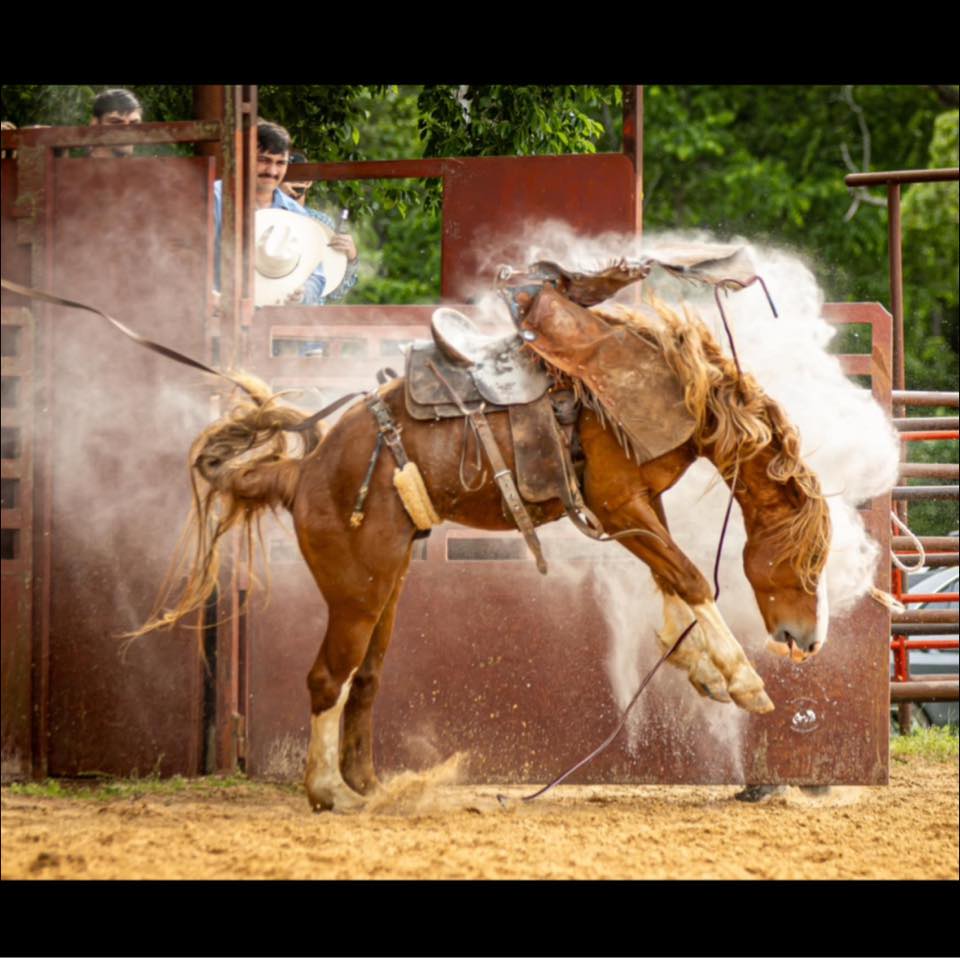 9th Annual Randy Lewis Memorial Ranch Rodeo 2026