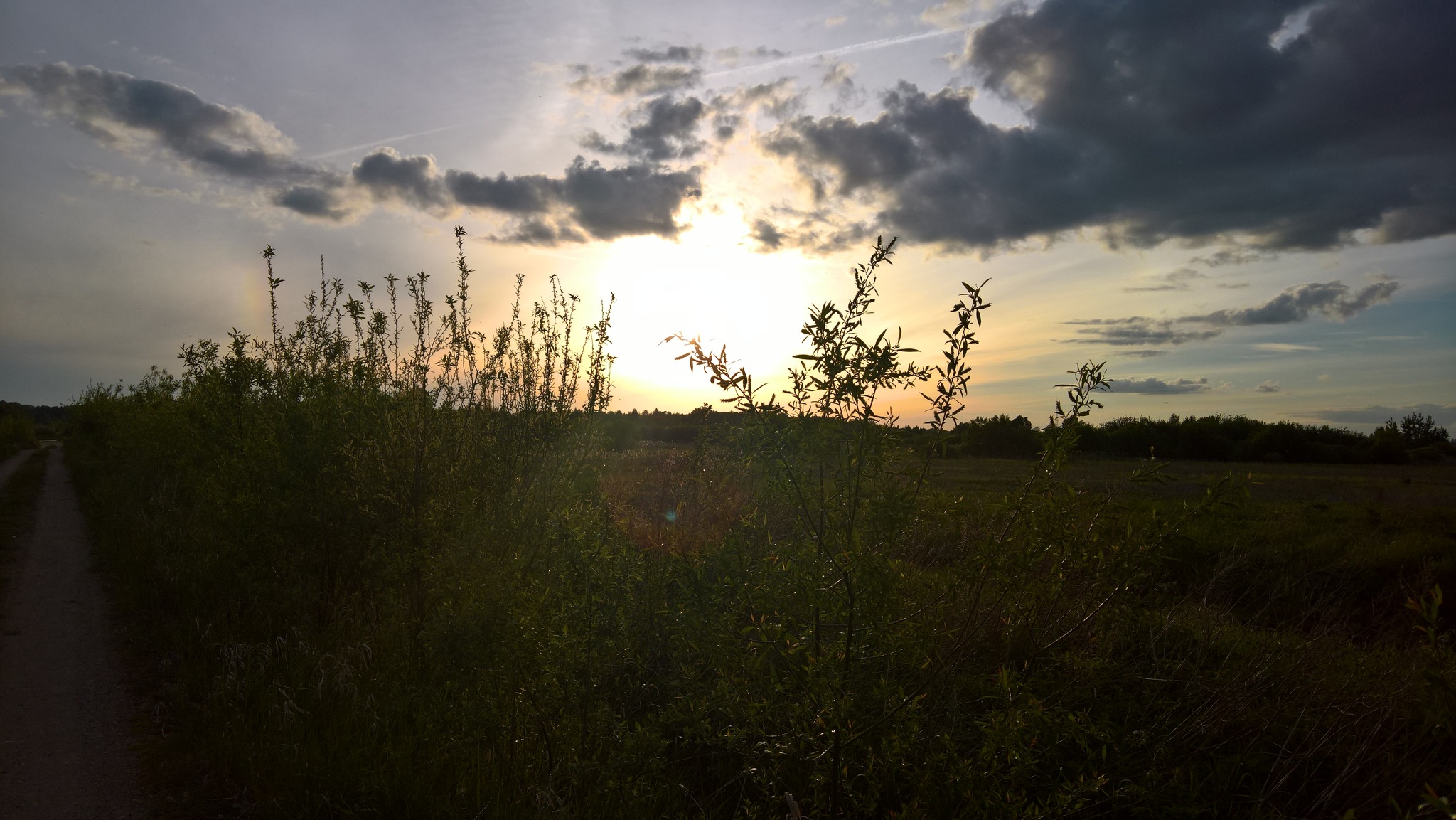 Aardla polder MPÜ