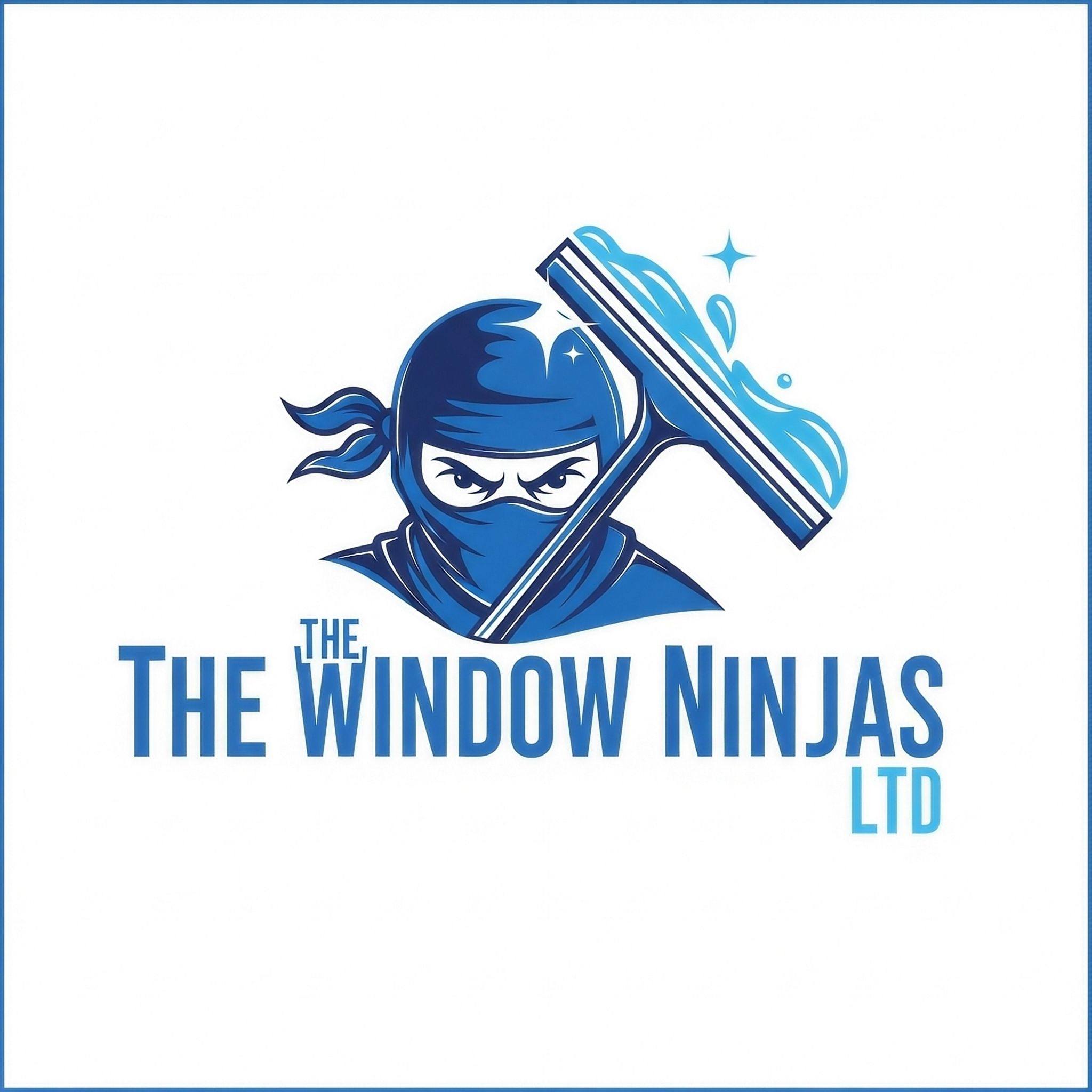 The Window Ninjas