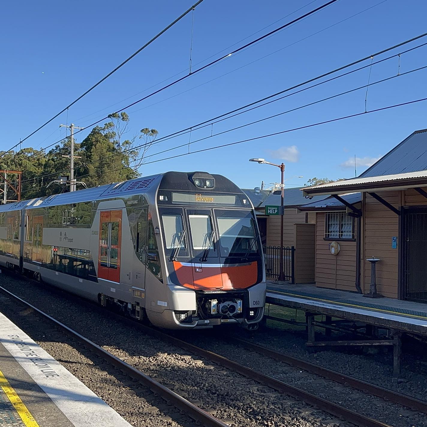 Total Train Nerd
