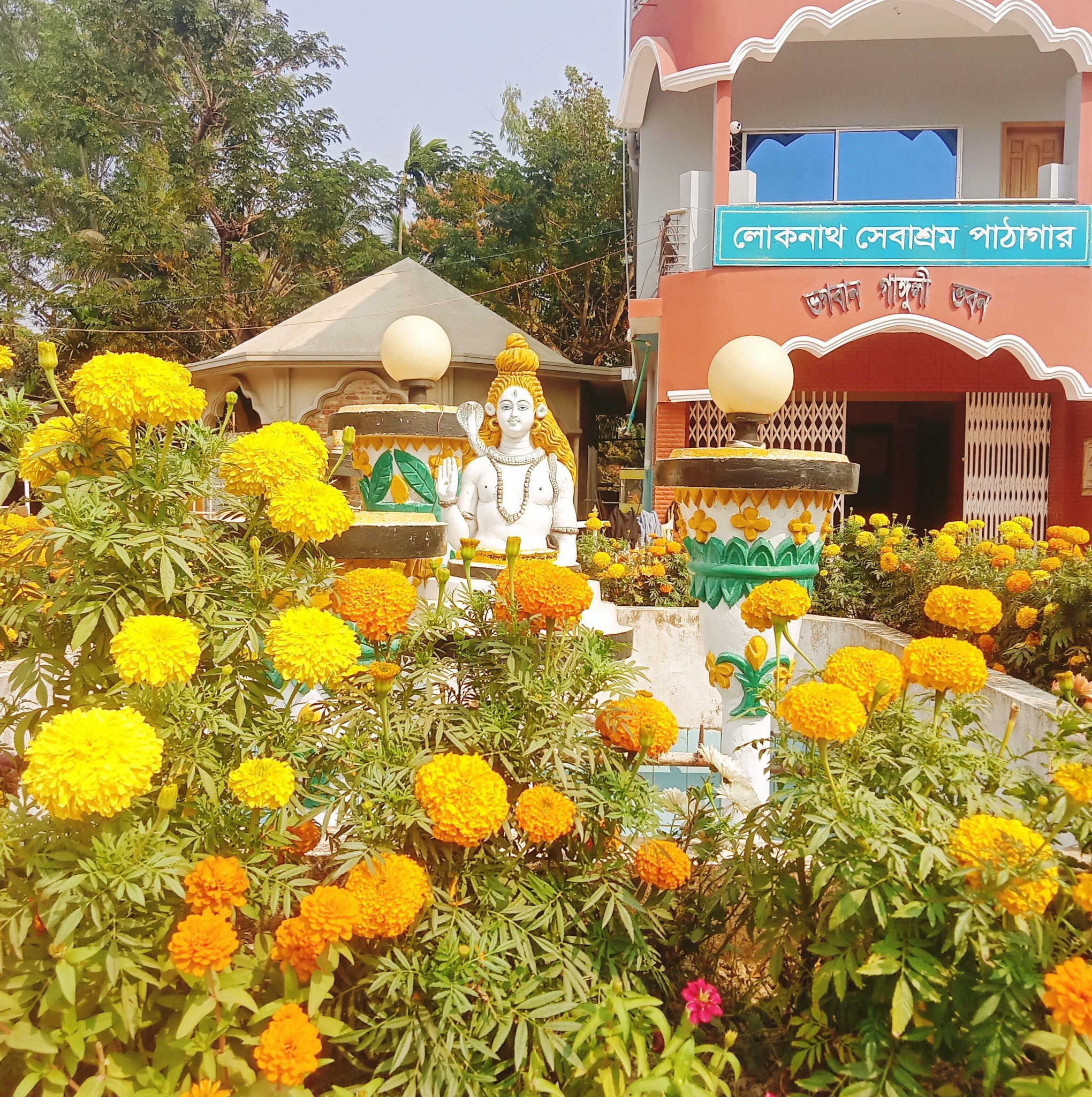 মেঘলা রৌদেলা