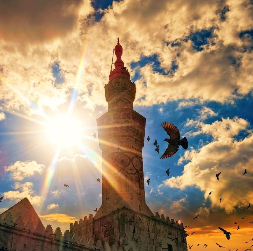 نبض العاصمة:$
