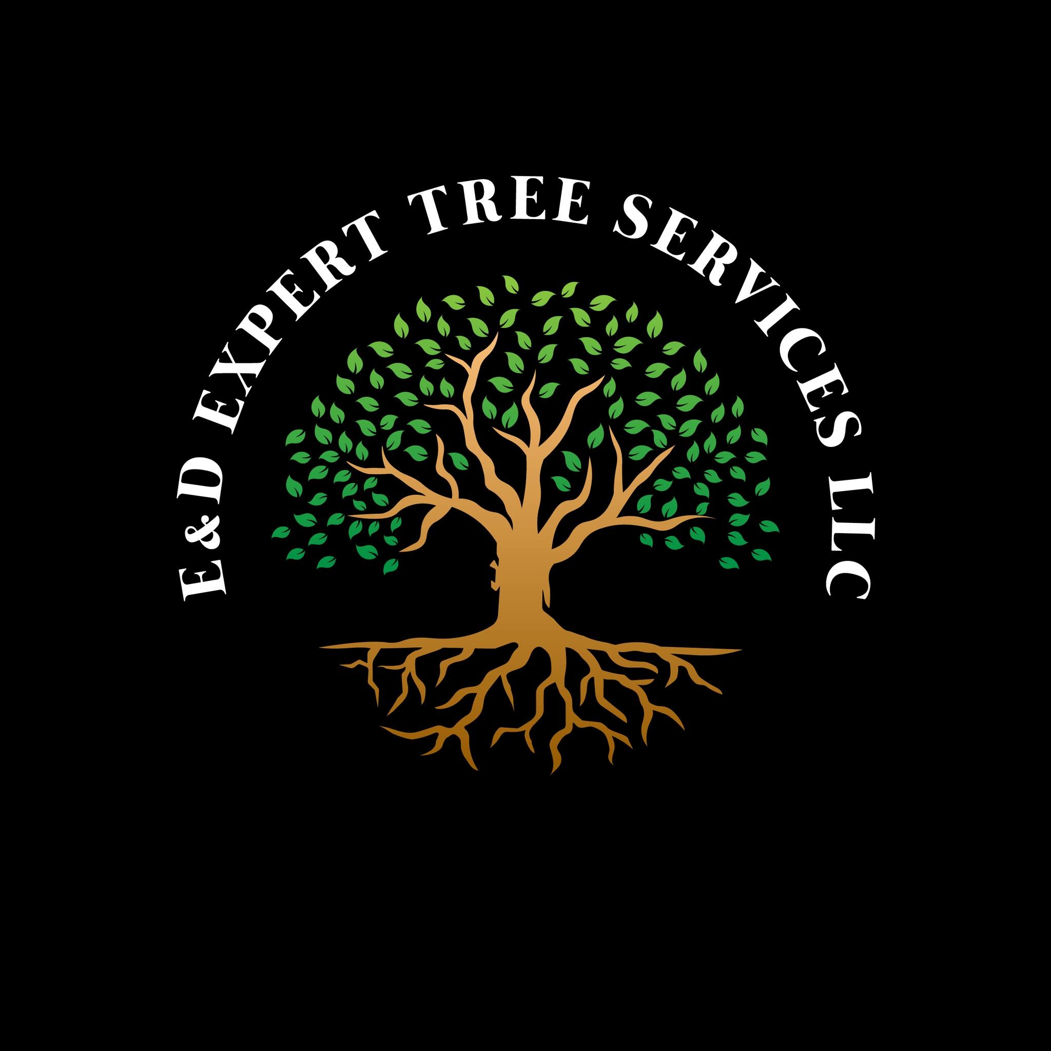 E&D Expert Tree Service LLC | Newport News VA