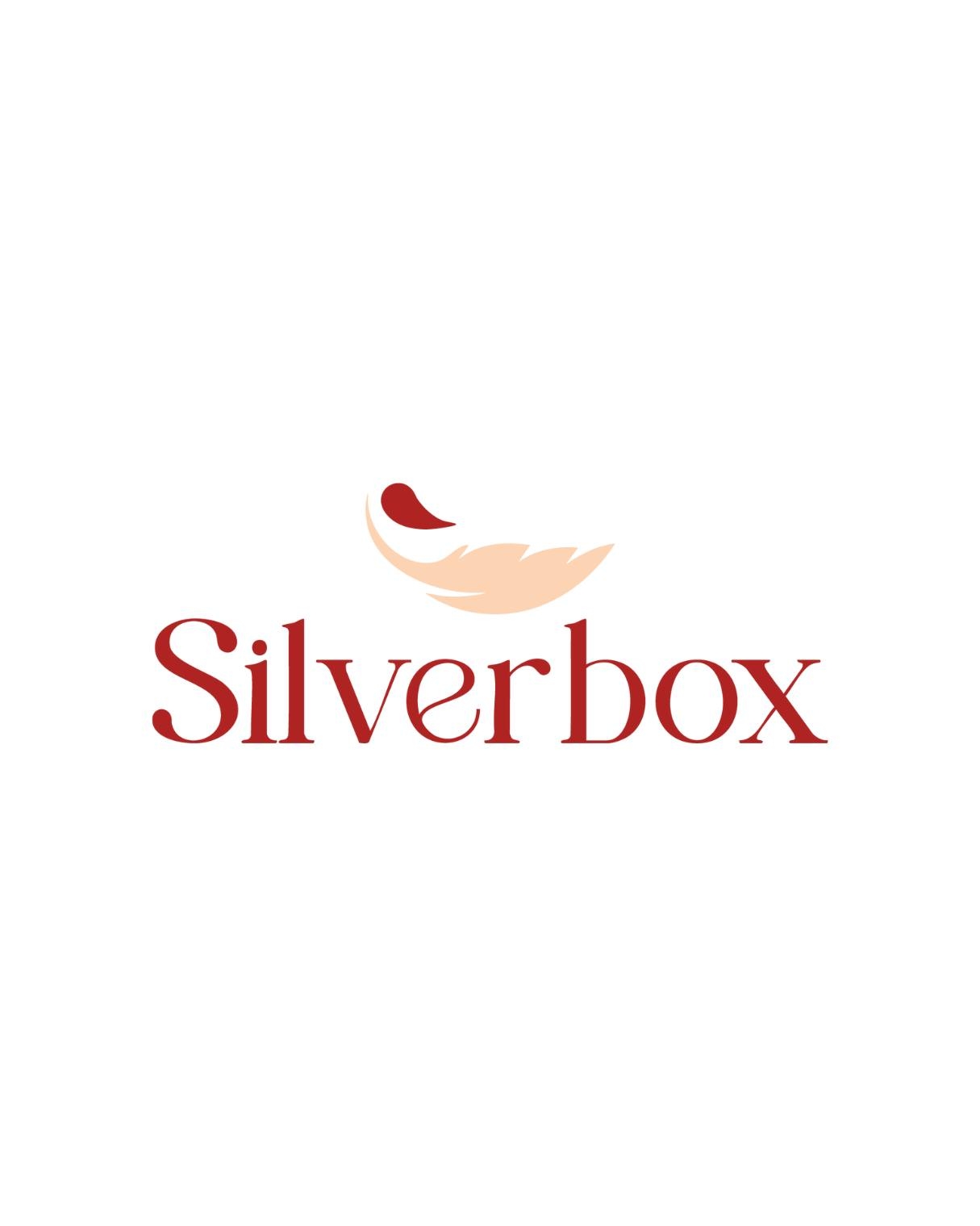 Shop Silver Box