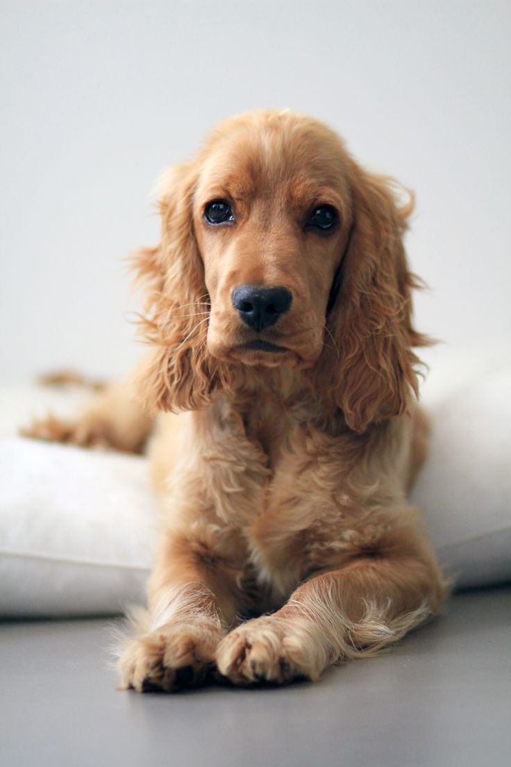No kiss for me — I know I’m not the cute type.😔😔😔 | Facebook