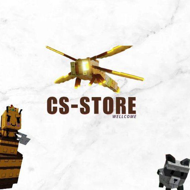 CS STORE