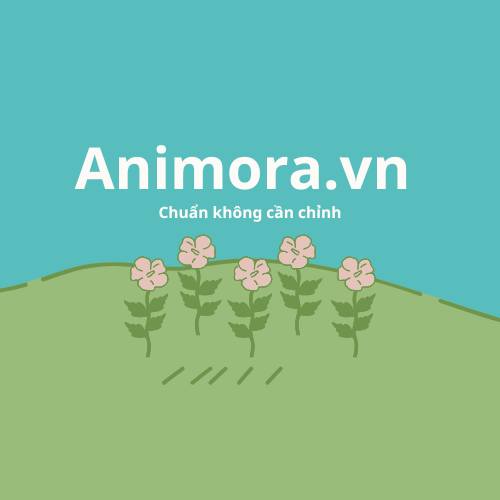 Animora