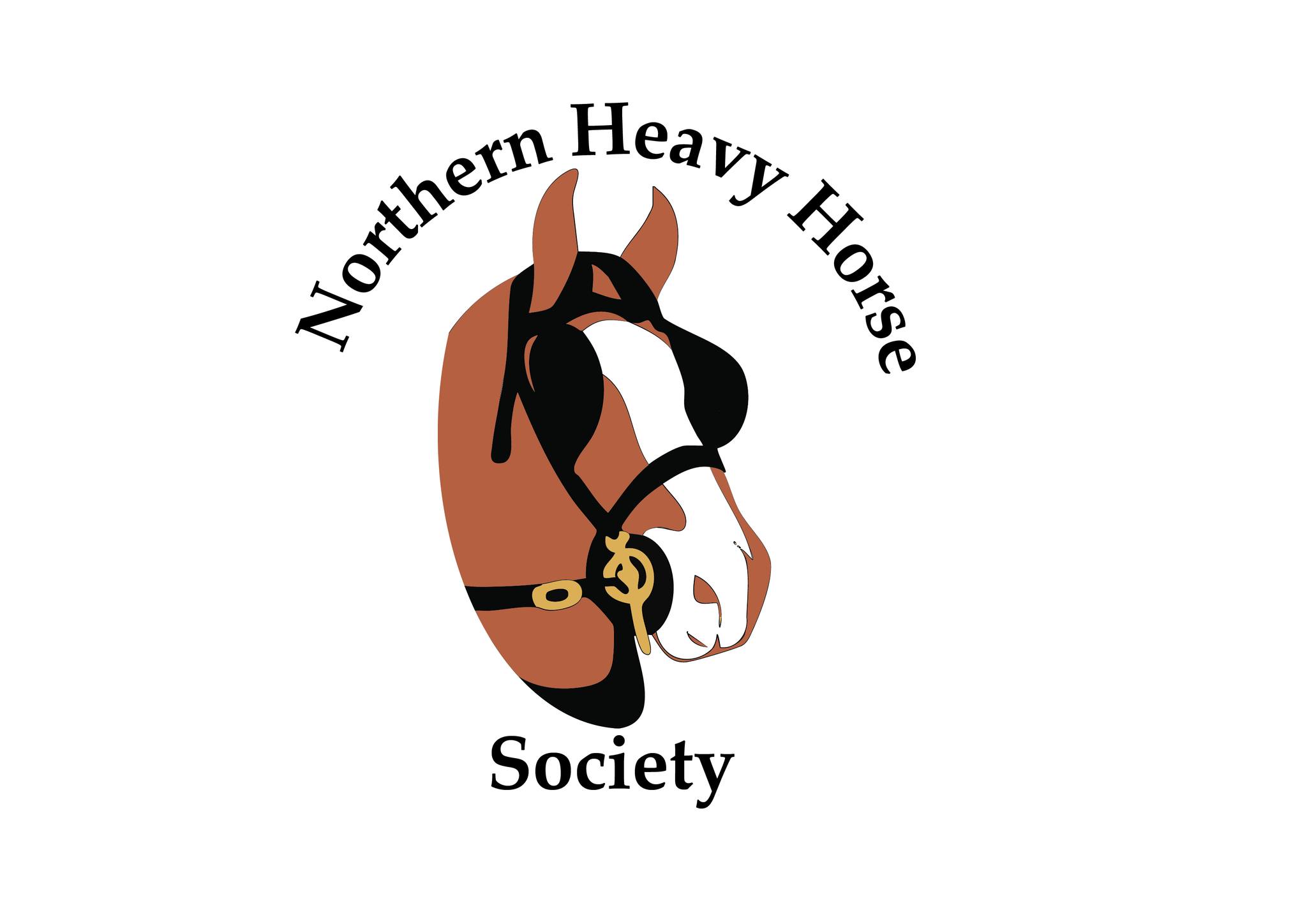 Friends of Seamer Village Scarborough | We will be holding our plough ...