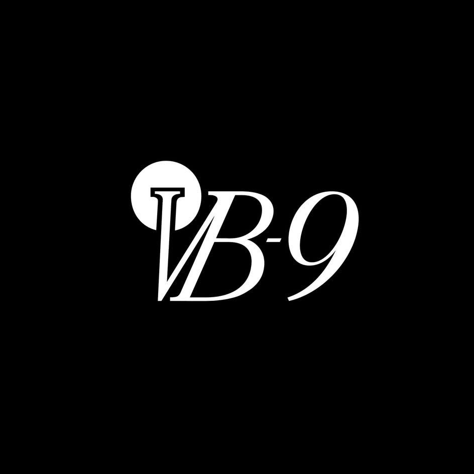VB-9 ผลิตภัณฑ์เสริมอาหารวีบี-ไนน์