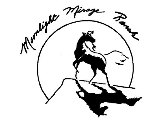 Moonlight Mirage Ranch | Littleton CO